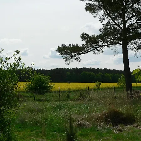 Fischohr *
